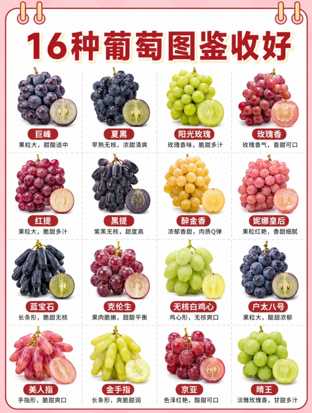 一串73元、3斤2.9元，都叫阳光玫瑰：葡萄旺季，用这张品种×价格带表决定买哪个