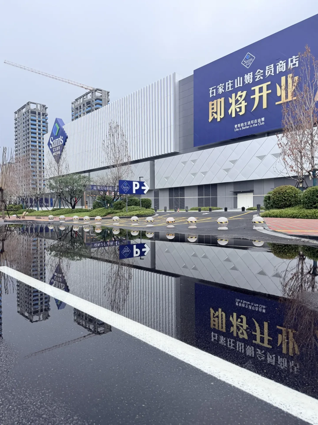 石家庄山姆开业,晚8点还在排队:翻完40多篇实地帖和几百条评论,写了这份攻略