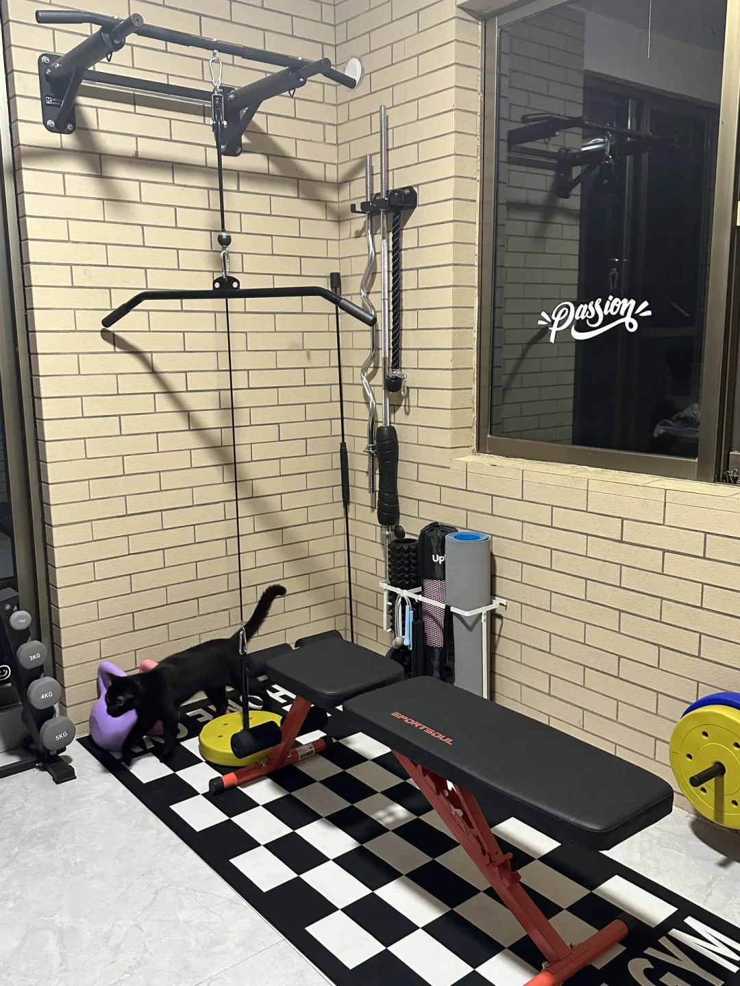 月卡159元对比一次性投入上万元:家庭健身角的回本账,有人2年回本,有人10年都回不了