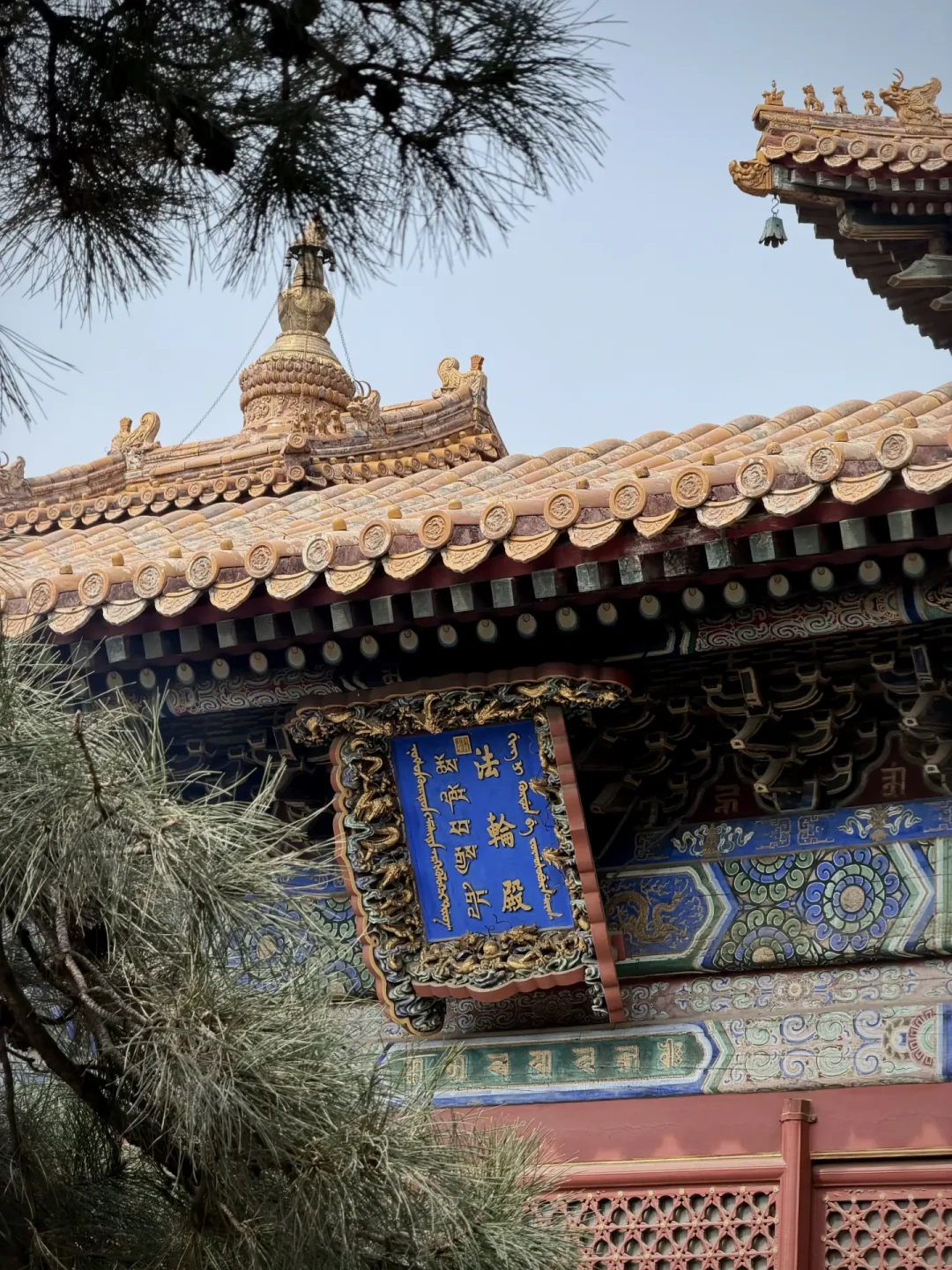 愿望成真却不会还愿?比对20多篇雍和宫还愿帖,整理出带什么、去哪买、带多少现金
