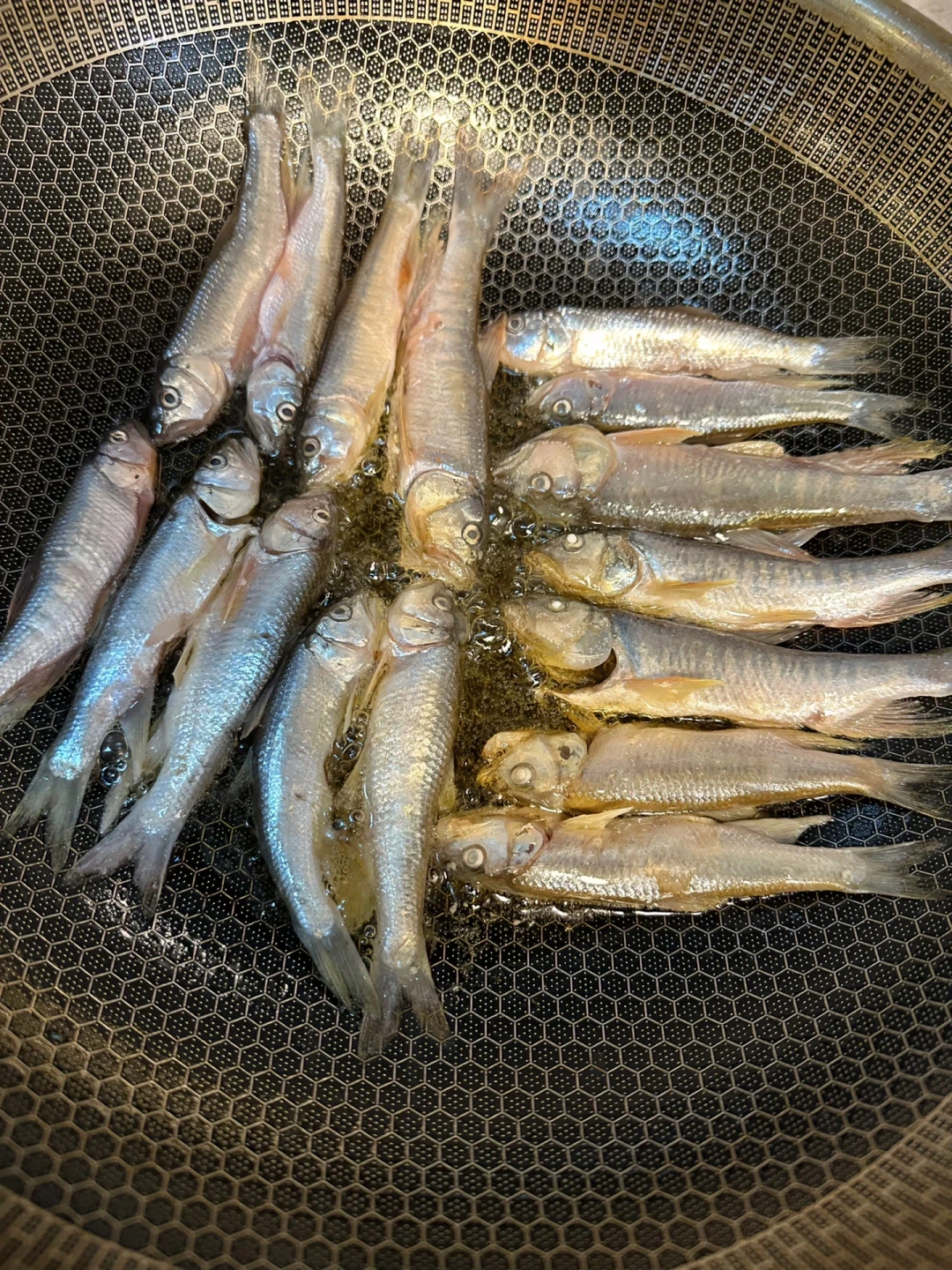 “鱼中极品”马口,为什么从菜市场消失了:自己钓到的,吃不吃先看这3点