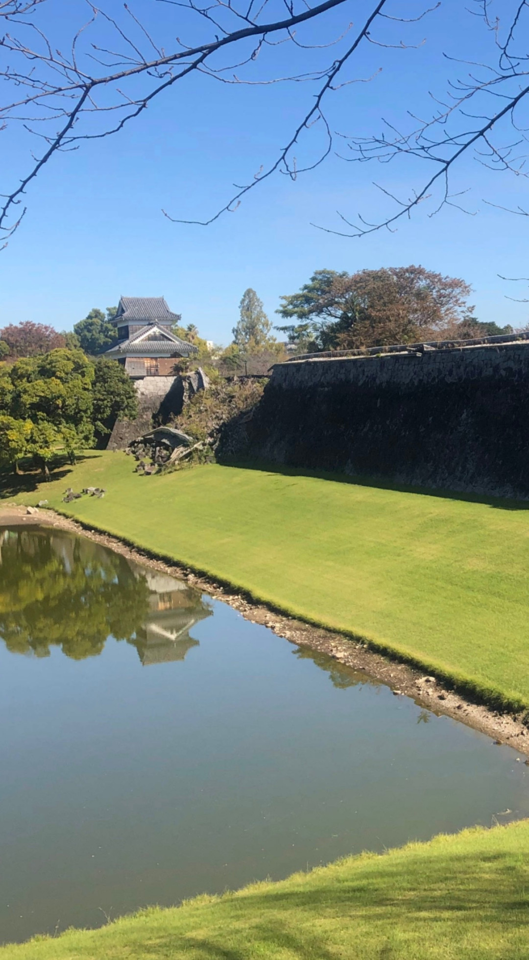 停摆19天后的复工首秀：熊本熊先去灾区，再去银座，150人专门赶来见他