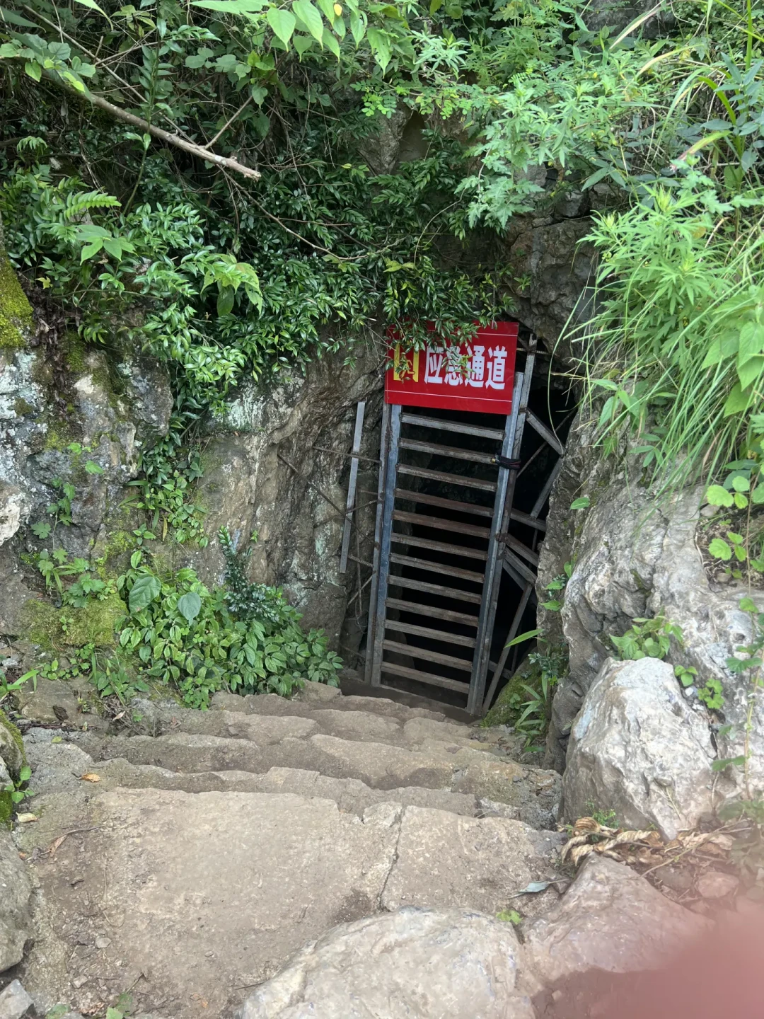 探洞今年夏天爆火,但火出了两面:一面排队交1280元,一面等消防彻夜救援——进洞之前,先问自己这4个问题