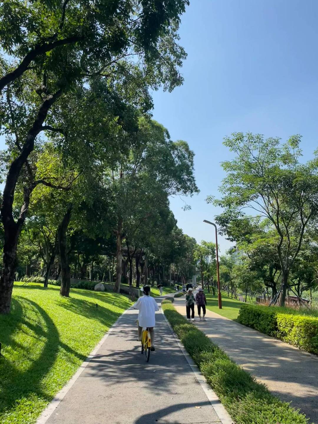 深圳280公里骑行道禁行电动车:新规落地三周,绿道真的更好骑了?