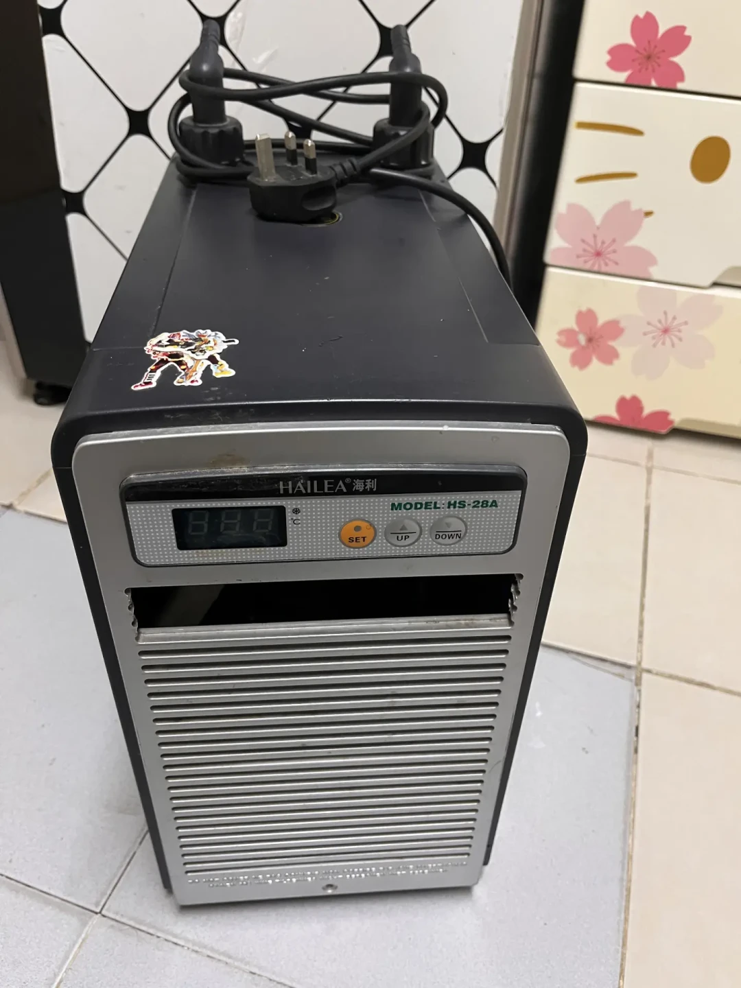 溪流缸水温破30℃,原生鱼正站在