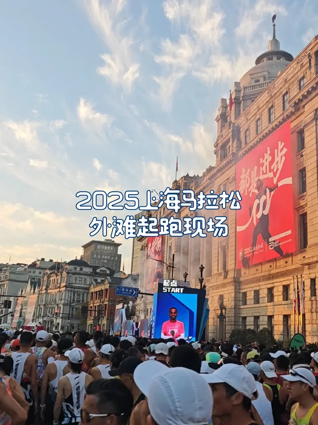 郑马