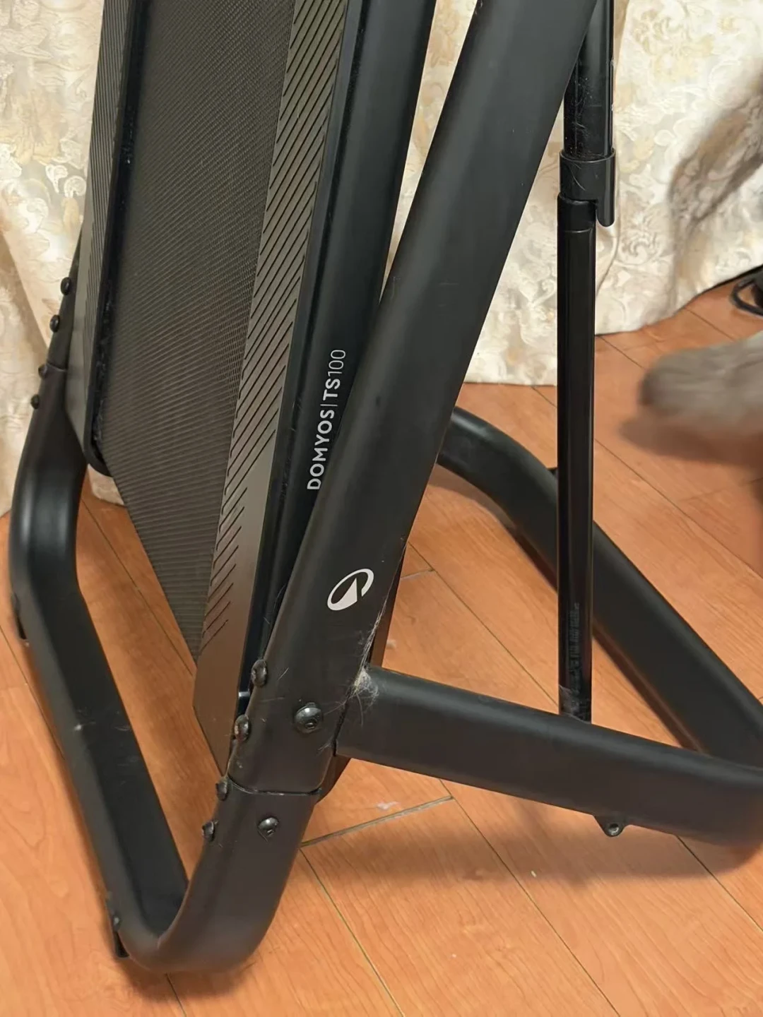 走了40分钟,消耗半碗米饭:走步机减肥的真相有点扎心,但三类人依然适合