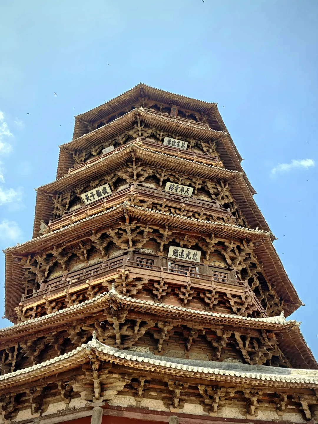 唐斗拱占了半面墙,清斗拱缩成一排:古建小白的斗拱现场观看指南