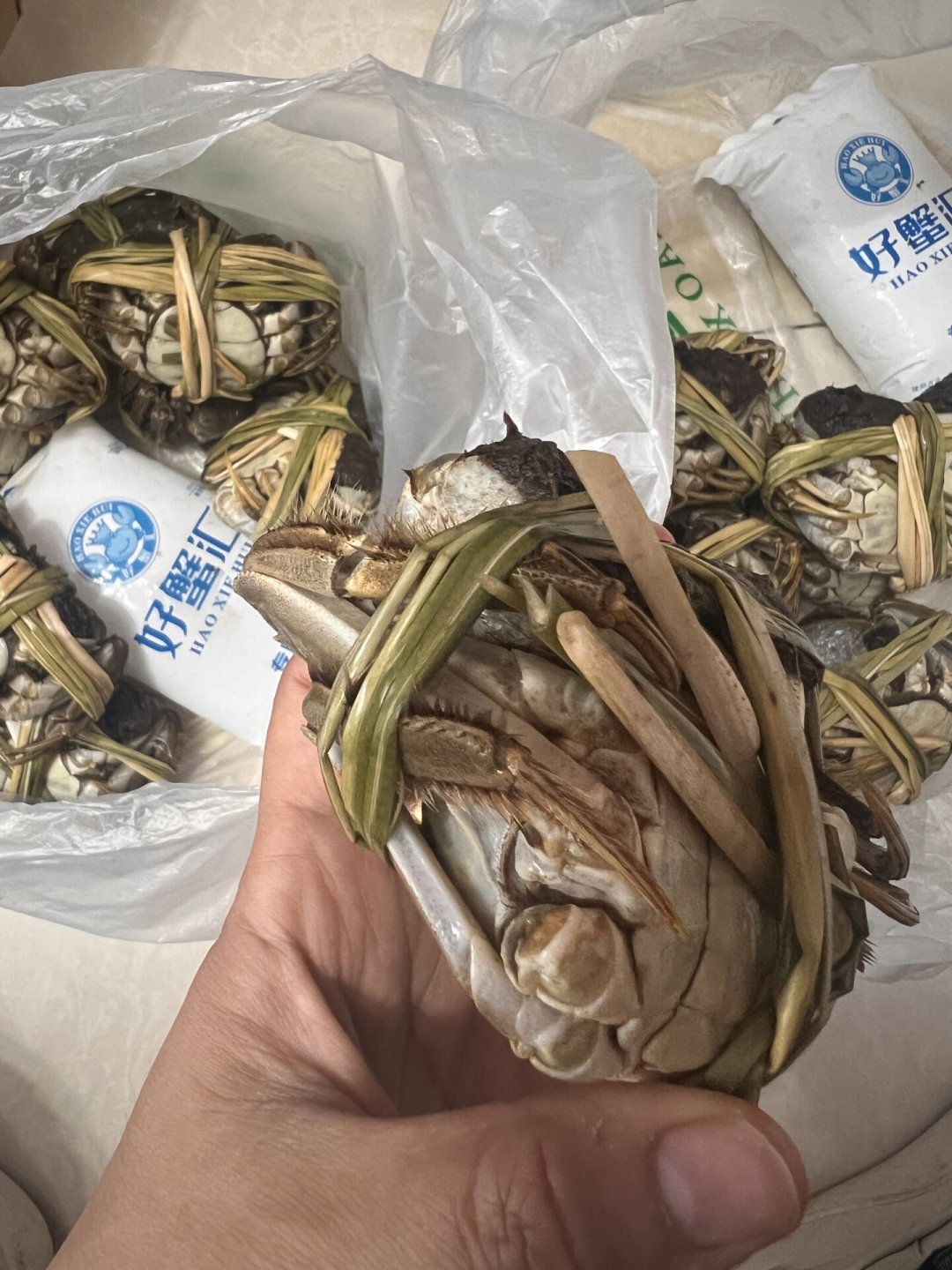 蟹券预售大战打响:蟹券本质是