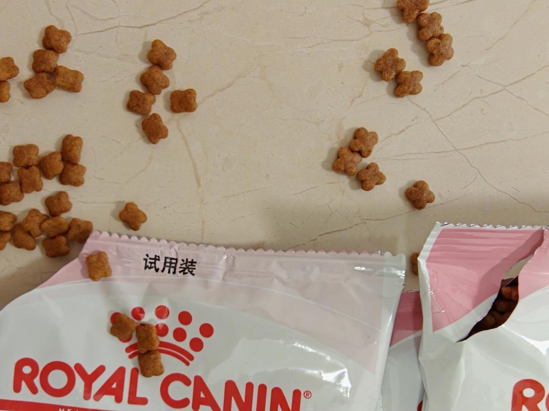 皇家F32断货,假货来补位?6个鉴别点+维权路线,别踩