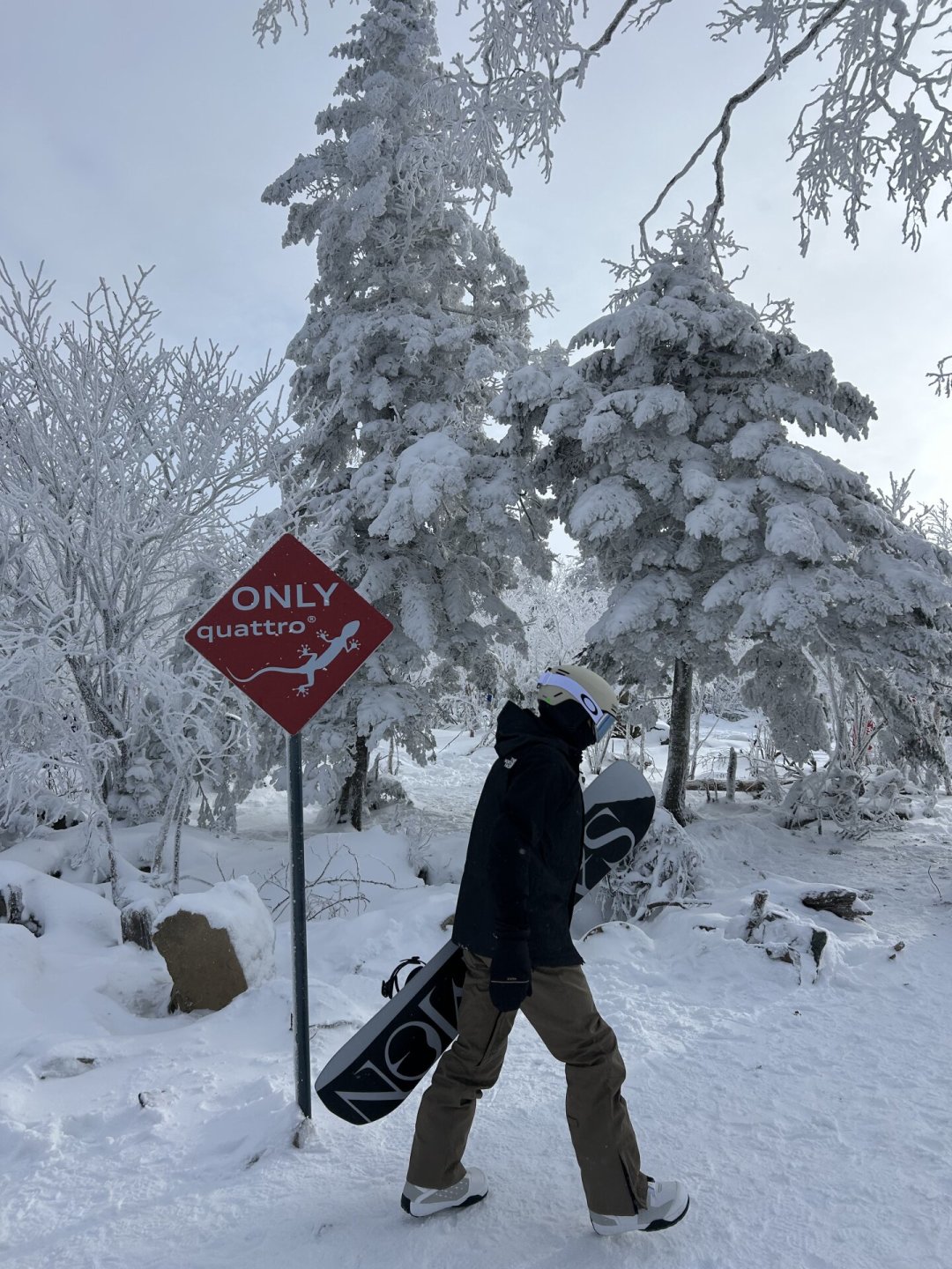 Club Med冬令营早鸟已开:滑雪、探索、航海3大系列,哪个营给哪个娃?私信问价前先收好这份选营地图