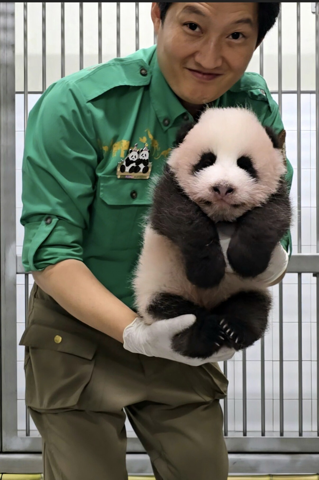 投票8月30日截止，名字却要等百天才揭晓：俊宝党的最后6天，这4件事还来得及