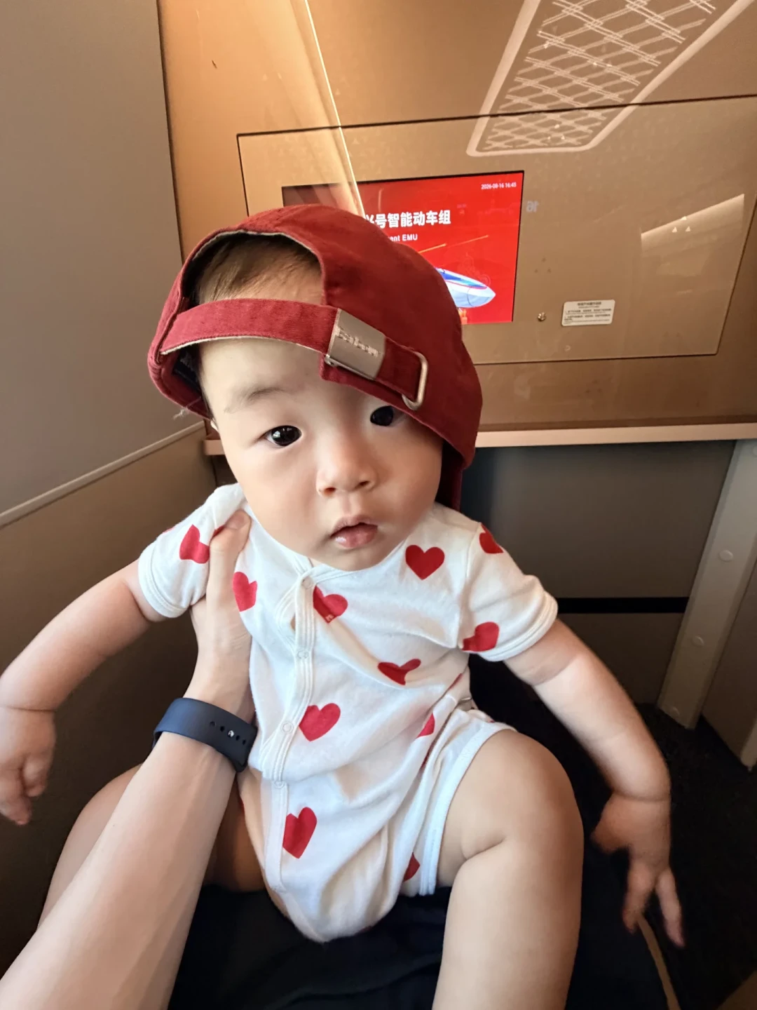 比利时全网欢庆的这个