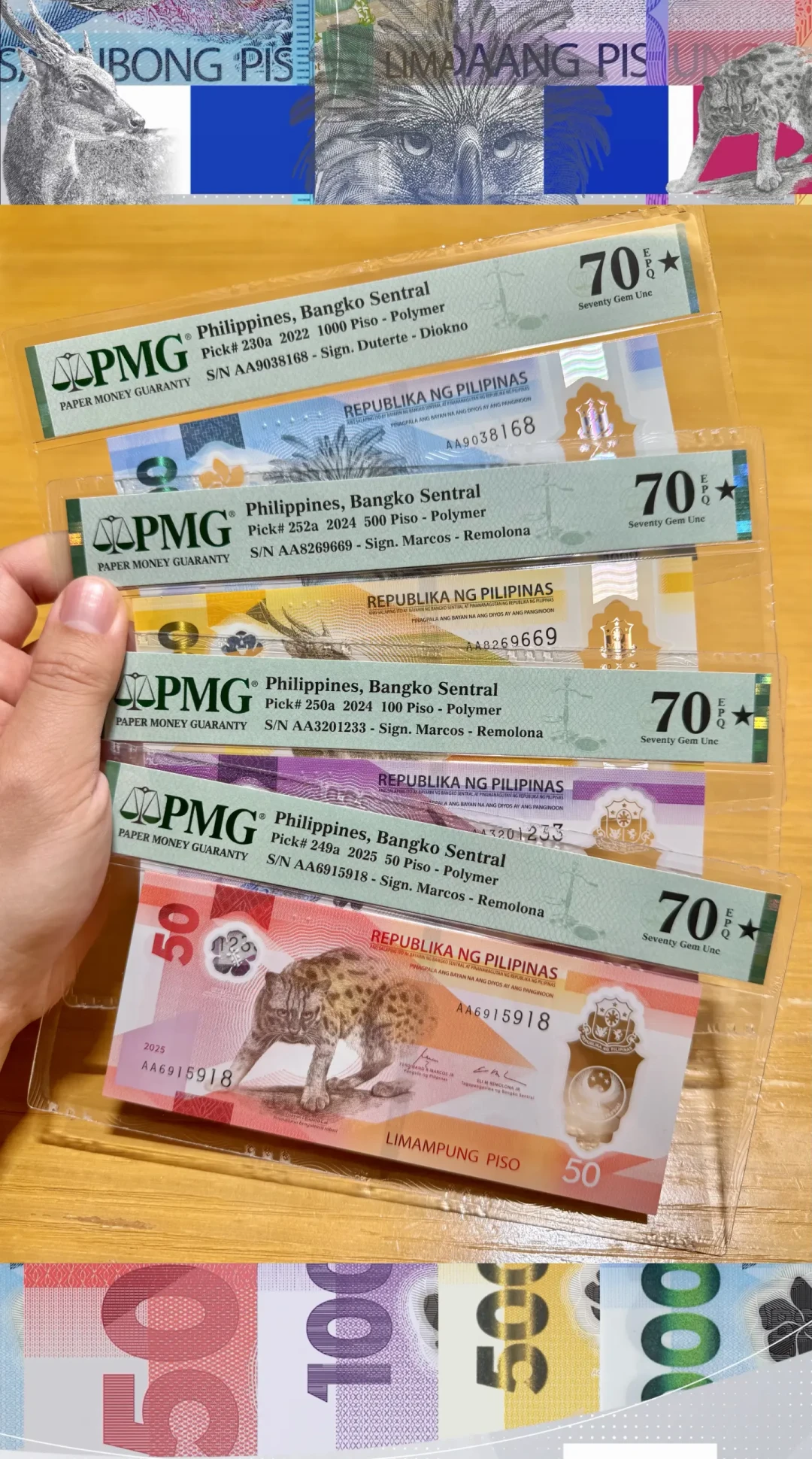 PMG十月来香港现场评级：送评前，先把这三笔账算清楚