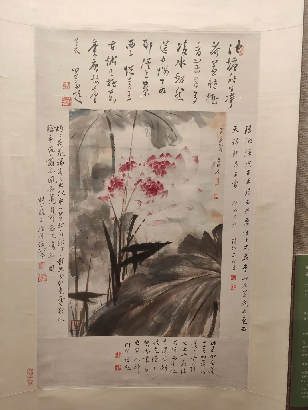 荣宝斋免费八大山人特展进入最后一周：《涉事册》终于能看全，今年全国“八大热”看展路线也理清楚了