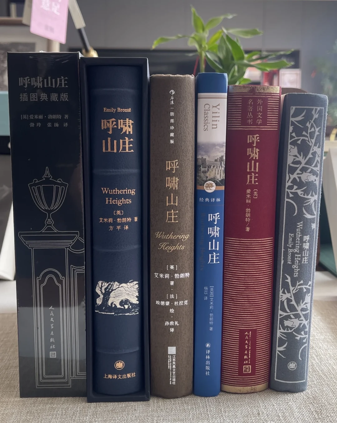 呼啸山庄读不进去?我扒了全网读者的吐槽,发现这本名著一直被打开错了