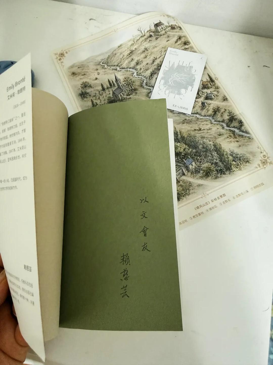 呼啸山庄读不进去?我扒了全网读者的吐槽,发现这本名著一直被打开错了