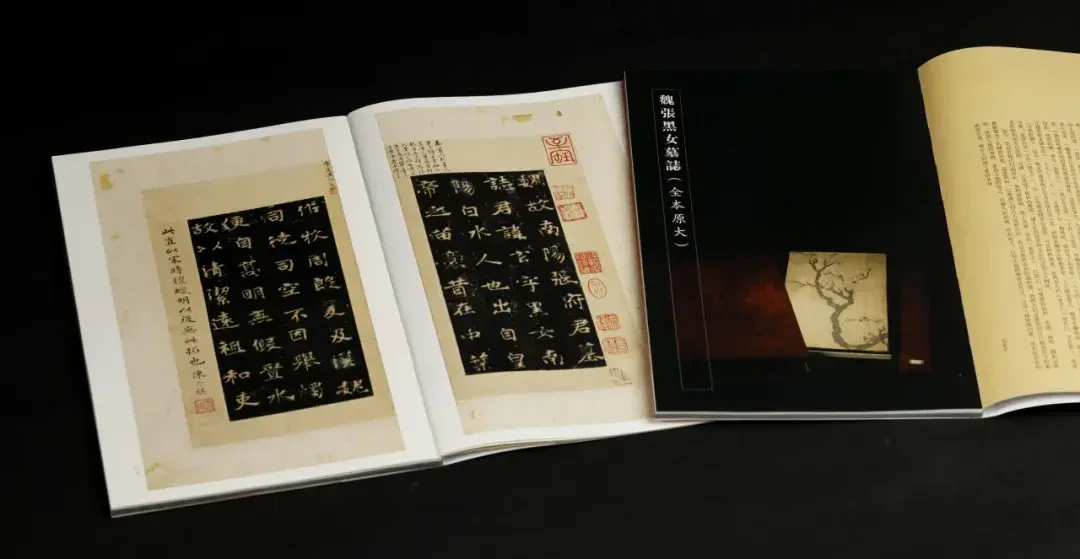 全球仅存一本孤本,在售却有6个版本:《张黑女墓志》字帖从88到756元,怎么选
