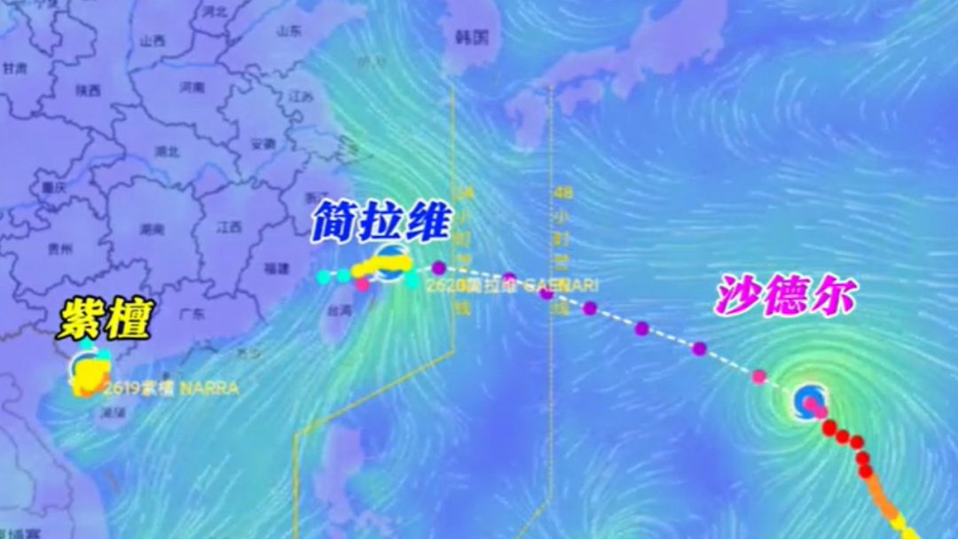 菜心8块、生菜快7块:超强台风逼近,接下来两周买菜先看这份清单