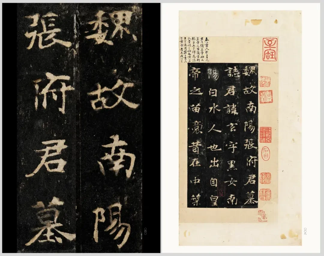 全球仅存一本孤本,在售却有6个版本:《张黑女墓志》字帖从88到756元,怎么选