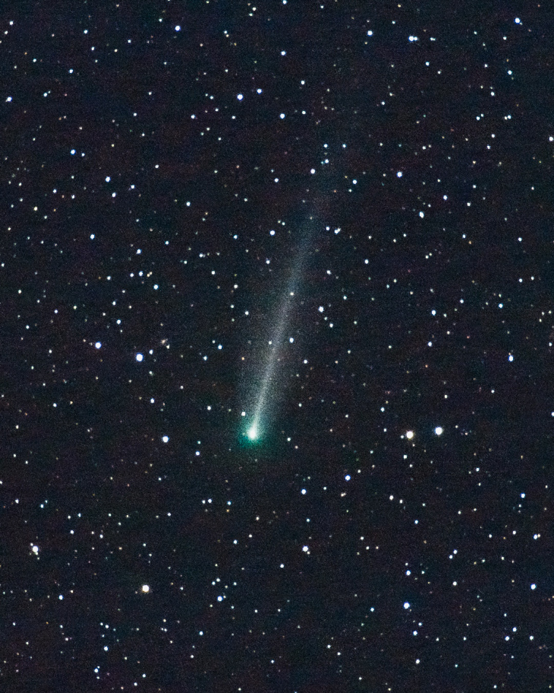 爆发两次、亮度翻了600倍,但肉眼不可见:220P彗星正在变暗,拍它的窗口就这几晚