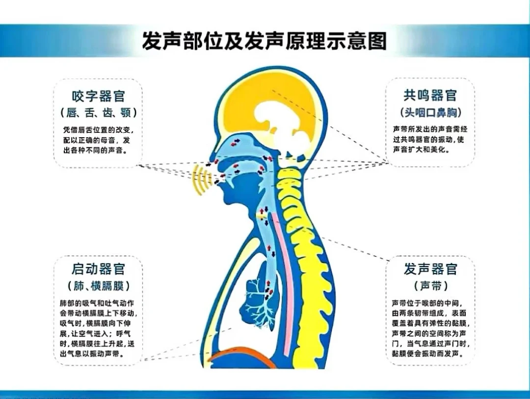 开学前一周,教师护嗓备战指南:科学发声方法+扩音器实测对比