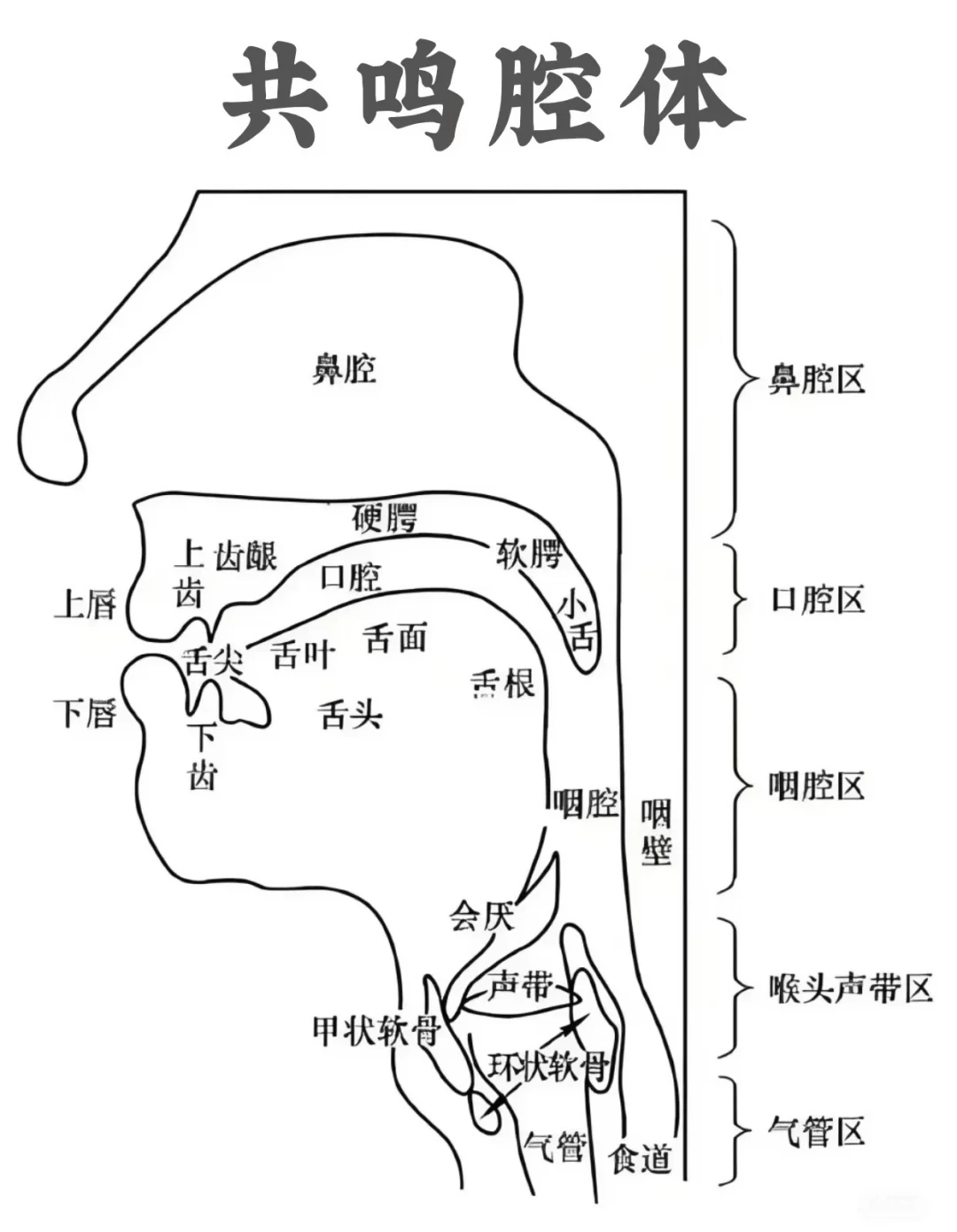 开学前一周,教师护嗓备战指南:科学发声方法+扩音器实测对比