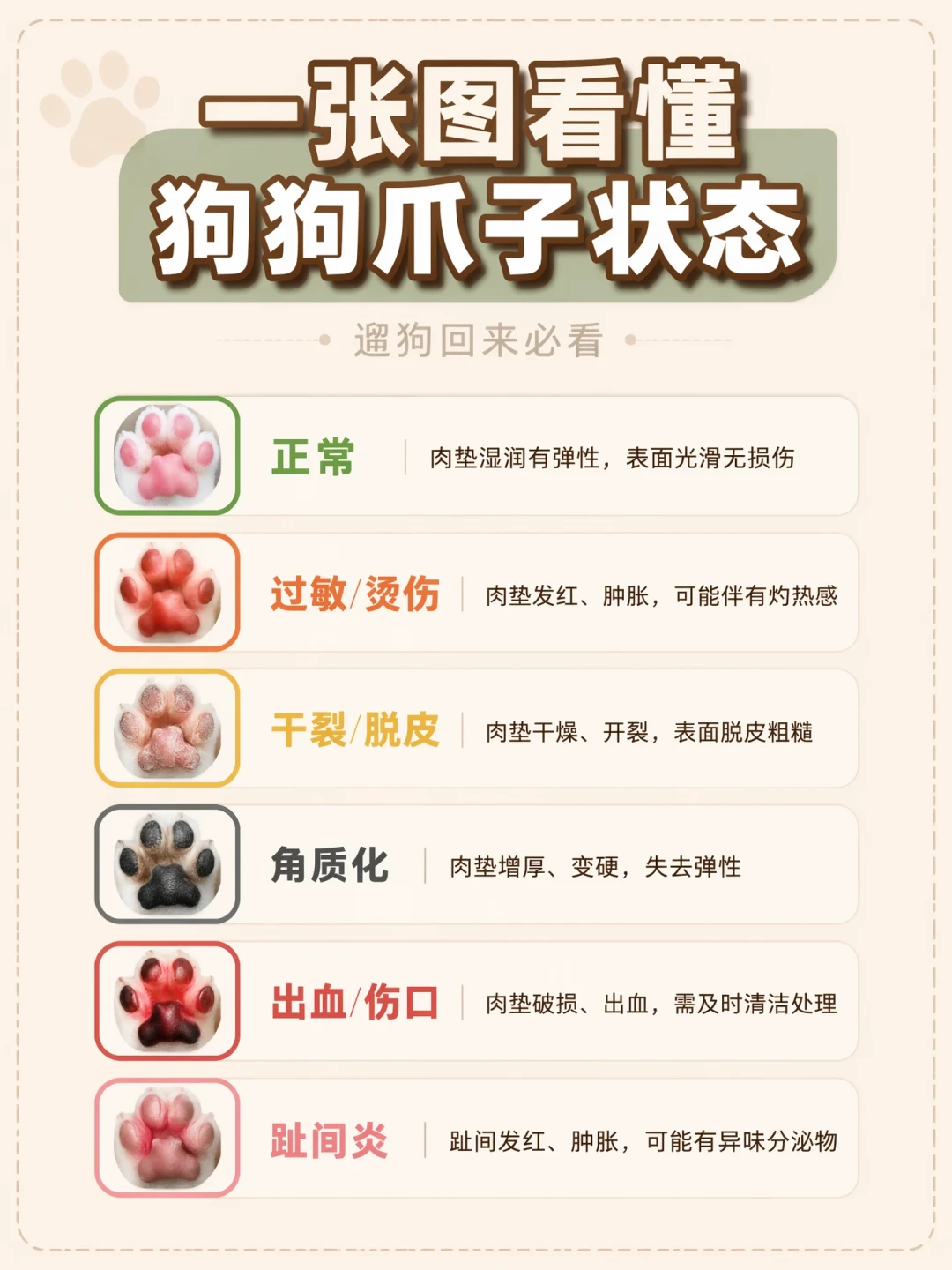 今天正式出伏，但小型犬的防暑还没结束：今年秋老虎有点凶，还有3个只有小型犬会踩的坑