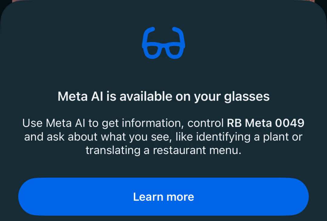 雷朋 Meta Gen 2 海外卖爆、国内却