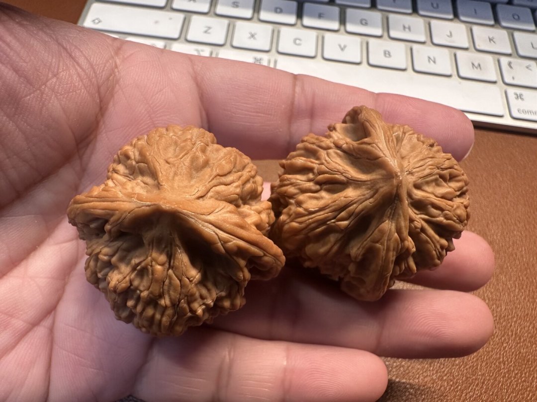 “纯血一代母树”模板帖刷屏、减产涨价说法又起：今年赌青皮前，先看懂这三层叙事