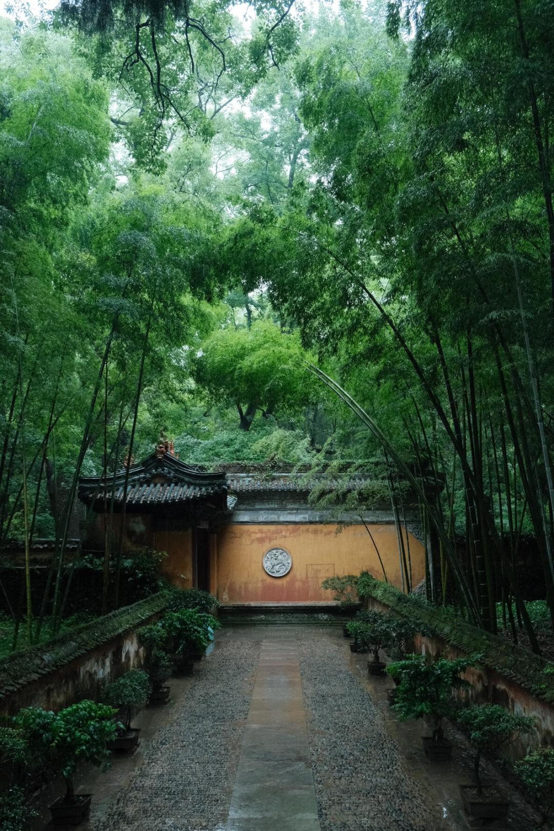 河南“错峰休假”新政刷屏两天就撤回：“错峰旅行”最大的误会，是以为谁都能错峰