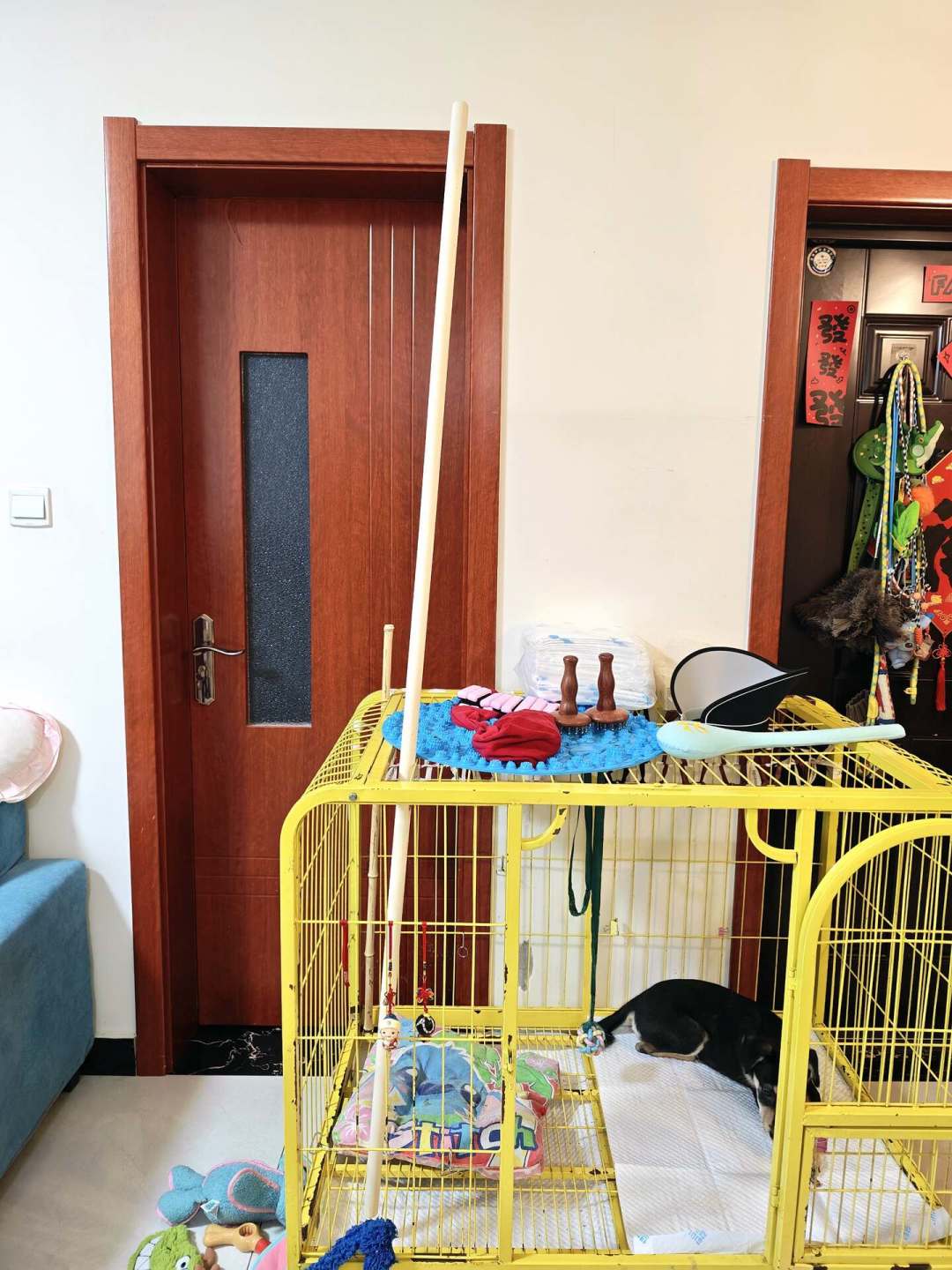 乌龙盘棍火了,但别乱抄一根棍就开练:你的第一根棍,长度粗细材质一次说清