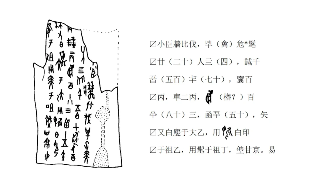 国博270件古文字大展只展3个月,铭文党看不懂怎么逛?
