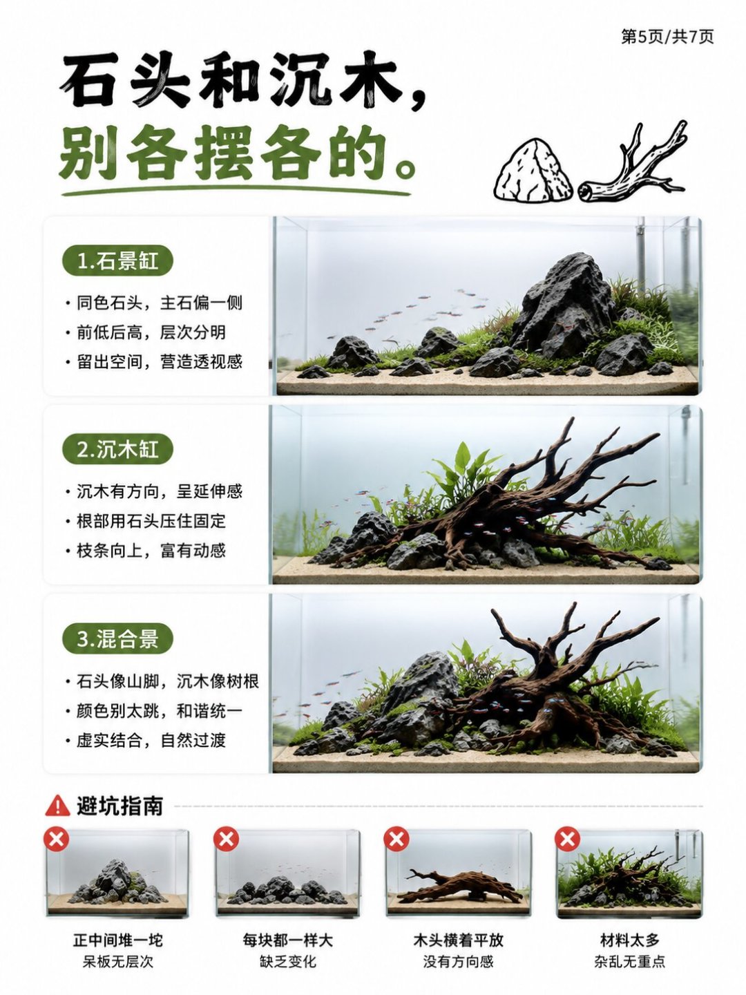IAPLC前300刚出:比赛缸能搬回家的4个动作和这笔成本账,秋天开缸直接抄