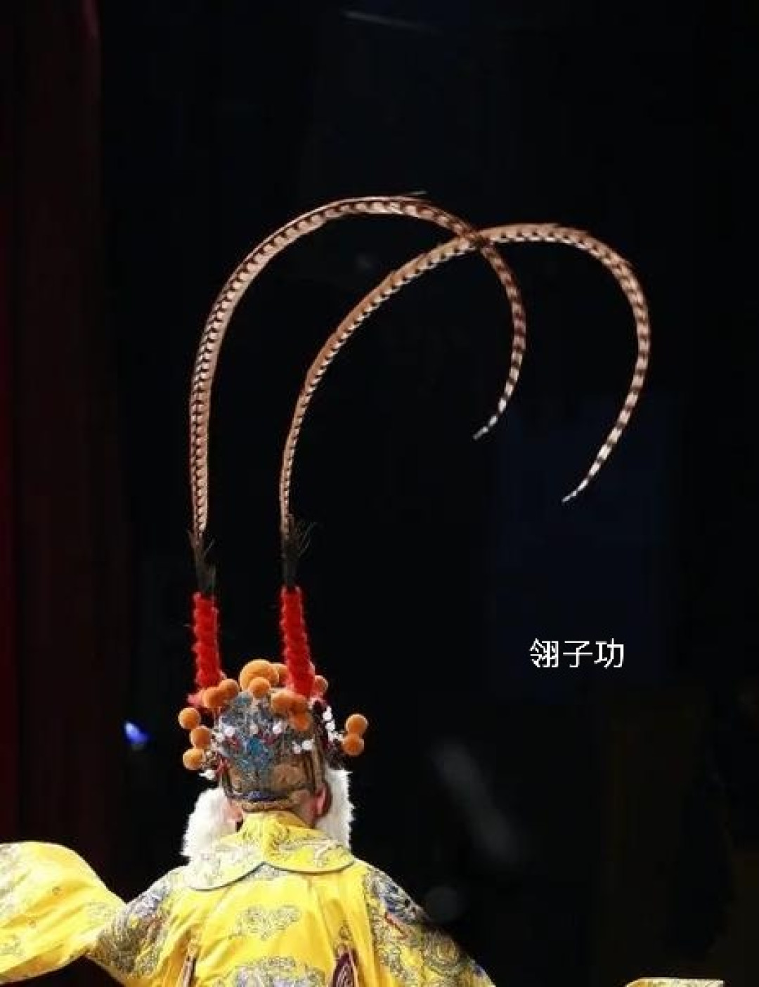 吕布那对雉鸡毛,比台词还会说话:给短视频入坑党的翎子功观看指南