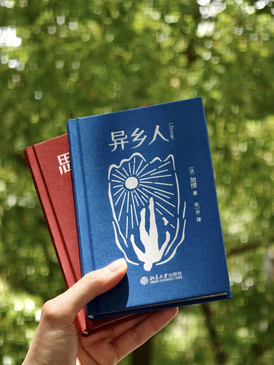 《西西弗神话》读不下去?多半不是你的问题,加缪新书潮里别买错译本