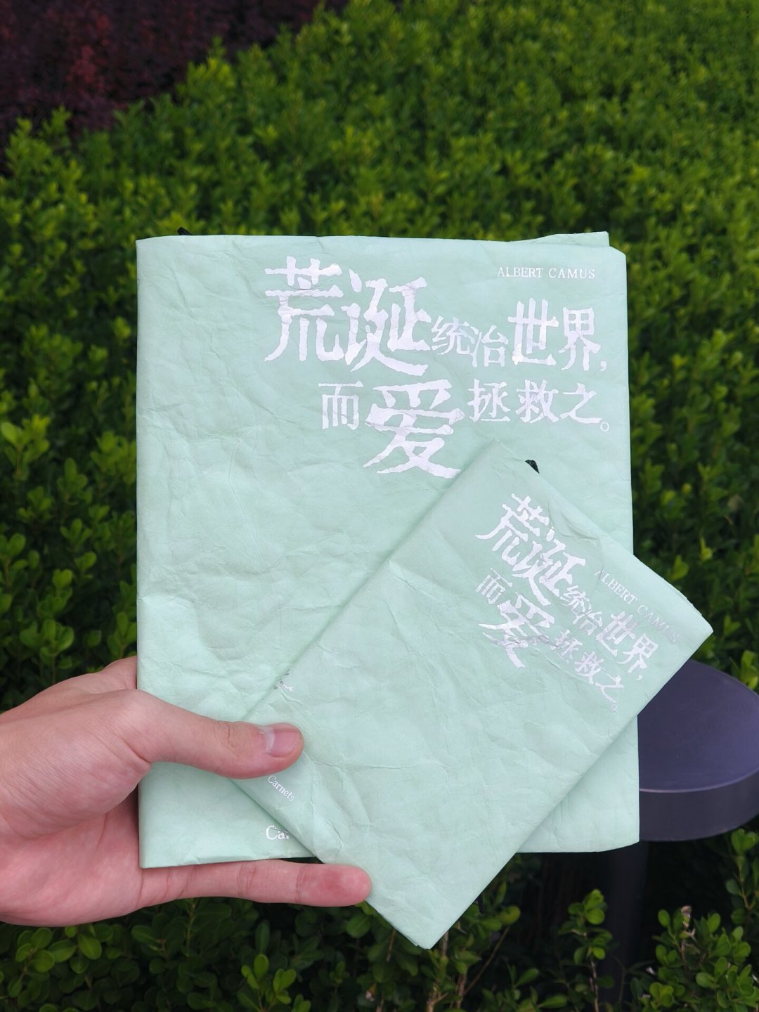 《西西弗神话》读不下去?多半不是你的问题,加缪新书潮里别买错译本