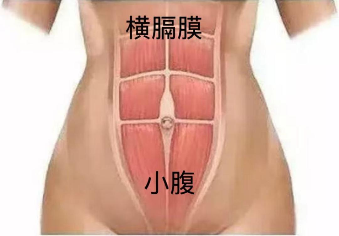 收藏了10万个开嗓教程，声音还是没变？你练的可能是