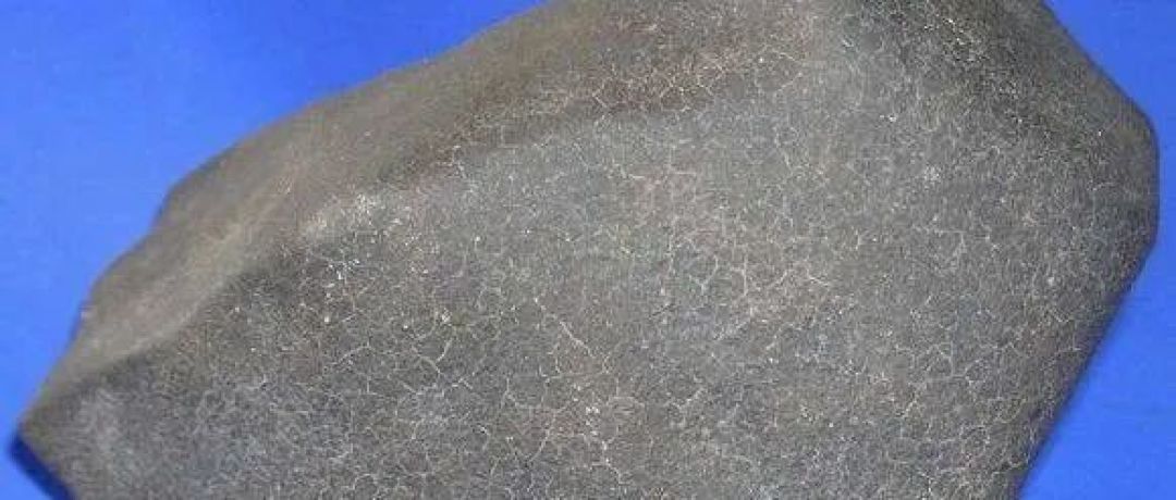野外捡到