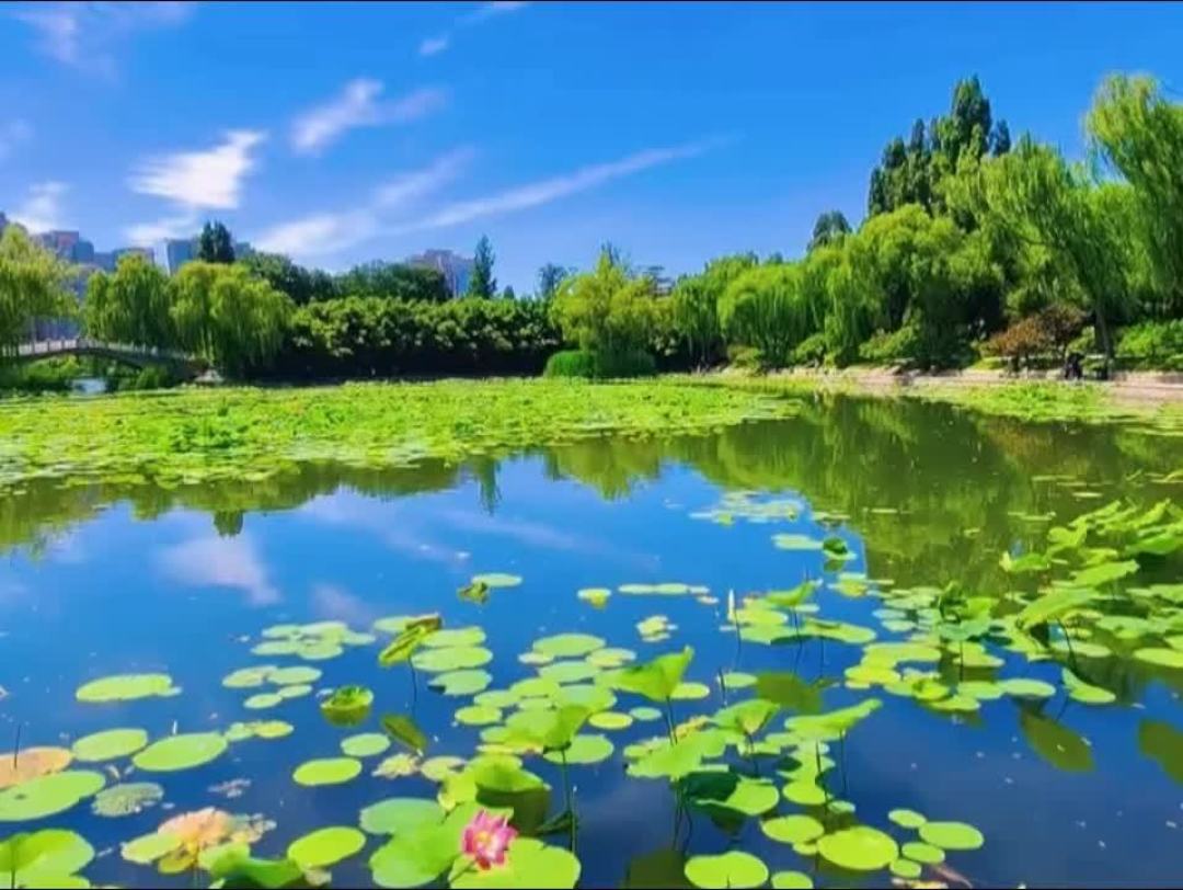 释放了三个月,生活纹丝不动?翻完全网40多篇卡壳复盘,问题集中在8个地方