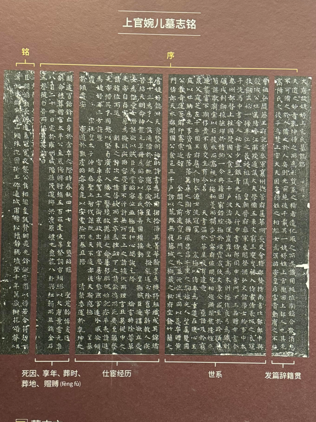 黄巢没进过河北：你从短视频里背的“门阀士族”，到底几分真？