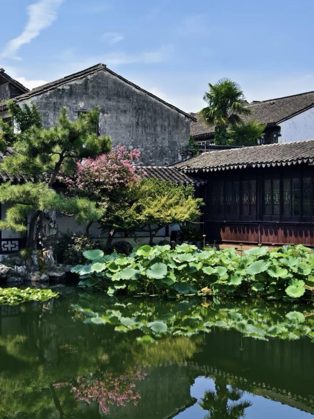 台风“沙德尔”逼近:苏州园林两年里已因台风闭园两次,8月底还值得去吗?