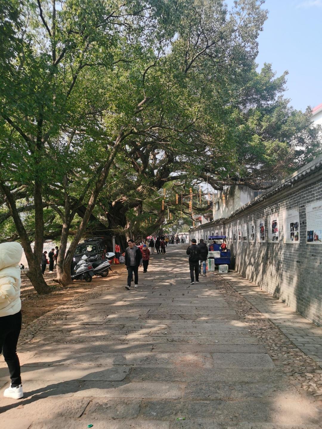 很多客家人自己都没听过:国家级非遗“客家古文”不是念文言文,而是藏在别人家办事现场的一门说书