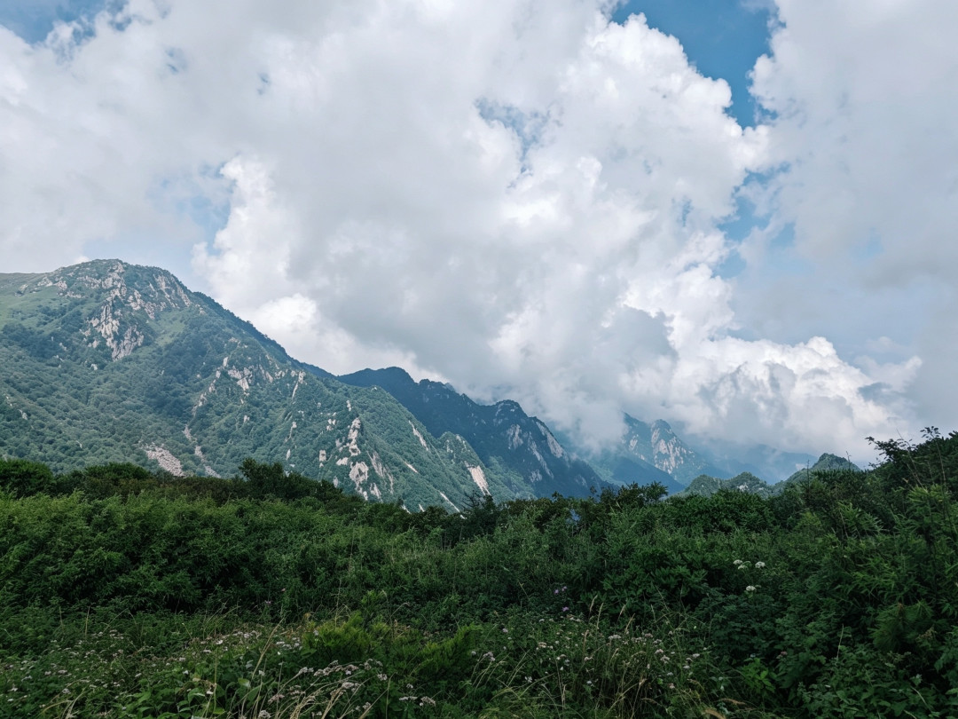 秦楚古道,凭高铁票免门票:翻了近期40条实测帖,有些坑得先知道