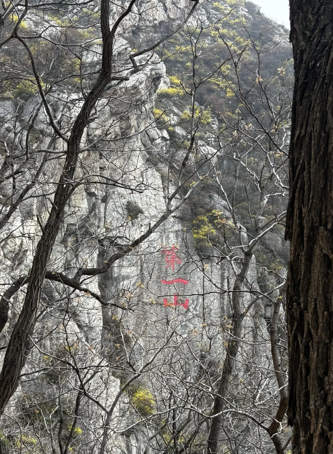暑假最后一周撞上河南雷雨集中期:去嵩山+龙门收尾前,先想清楚这三个判断