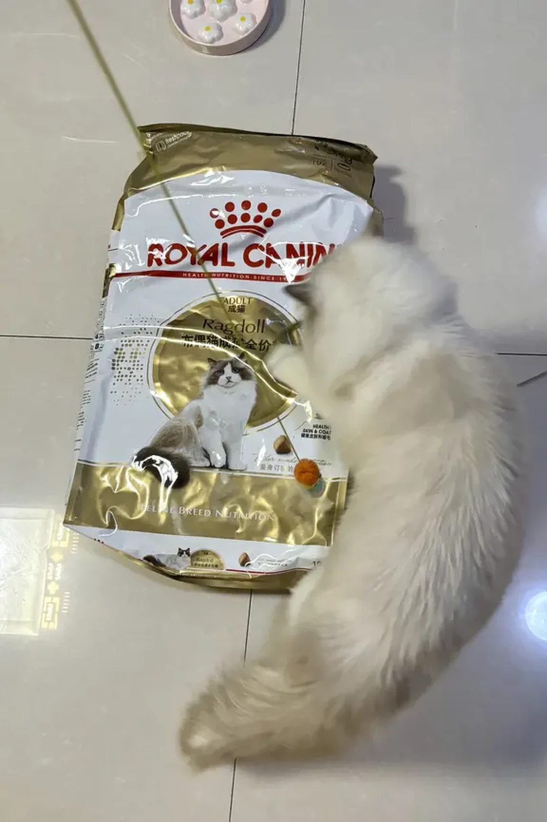皇家猫粮宠物节预告价流出:6个型号全解读,单价算清再囤货
