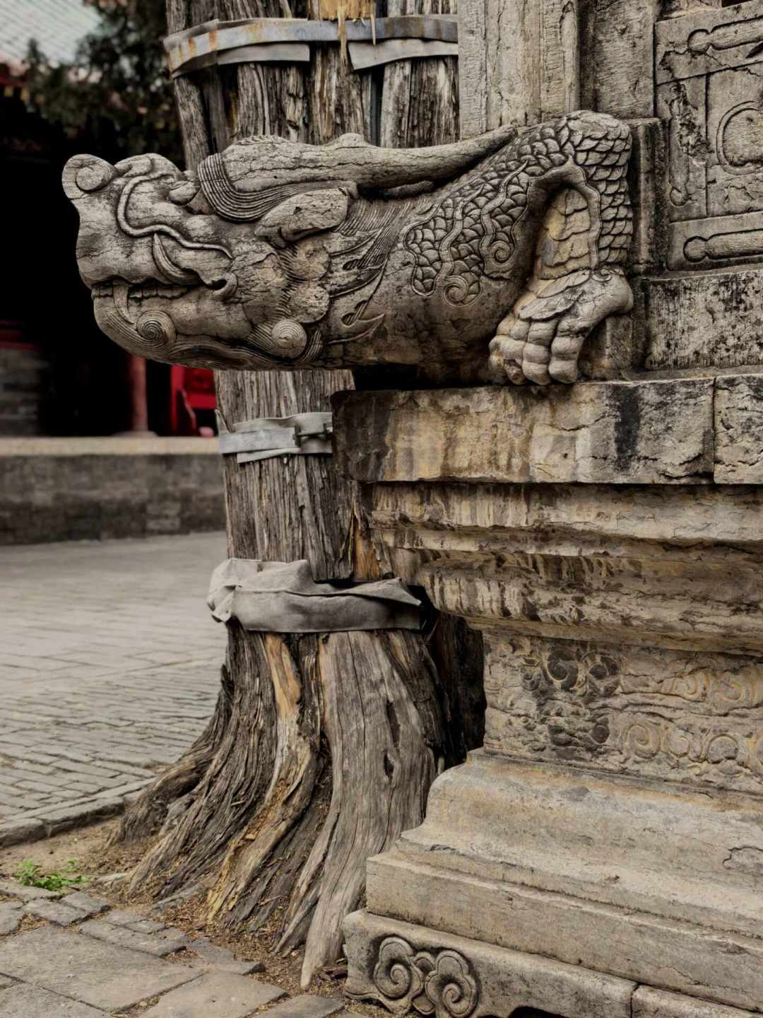 孩子开笔礼的八个环节,一半是近几十年加上的:开学前溯源+避坑指南