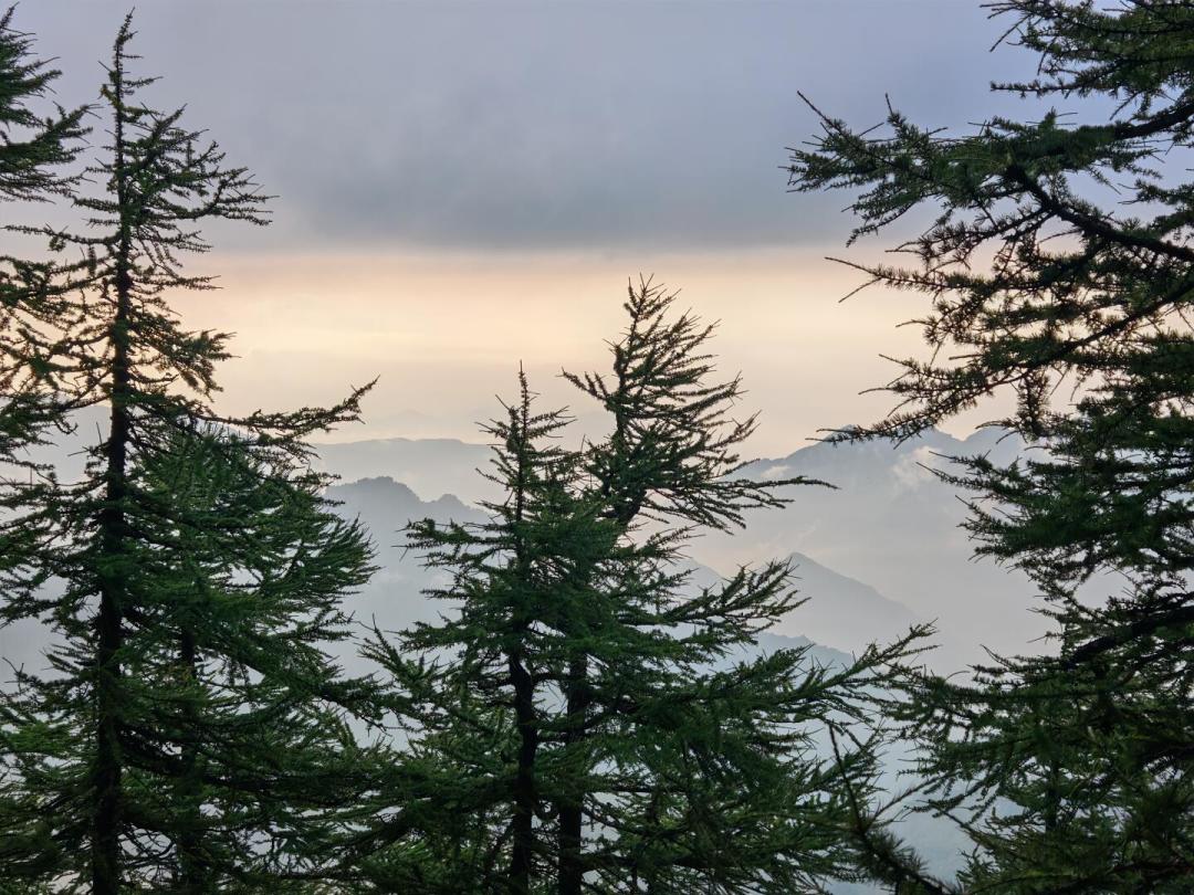 暑假结束前去太白山，先看这篇：景区目前只开放到海拔3511米的天圆地方