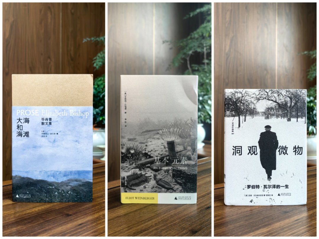 文学纪念碑在上海书展被买空:这6本畅销新书,现在补还是等打折?
