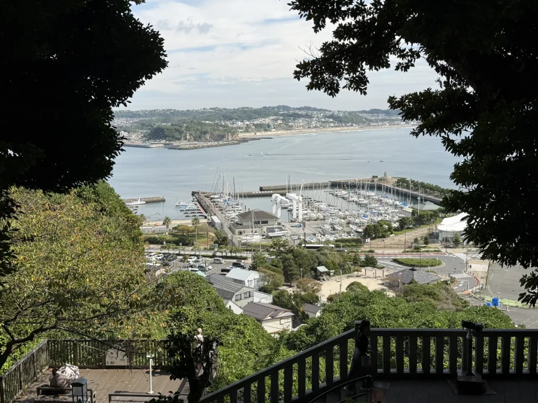 江之岛免费进岛，看景要花钱：我把20多条实访记录翻完，替你算清这半天怎么花